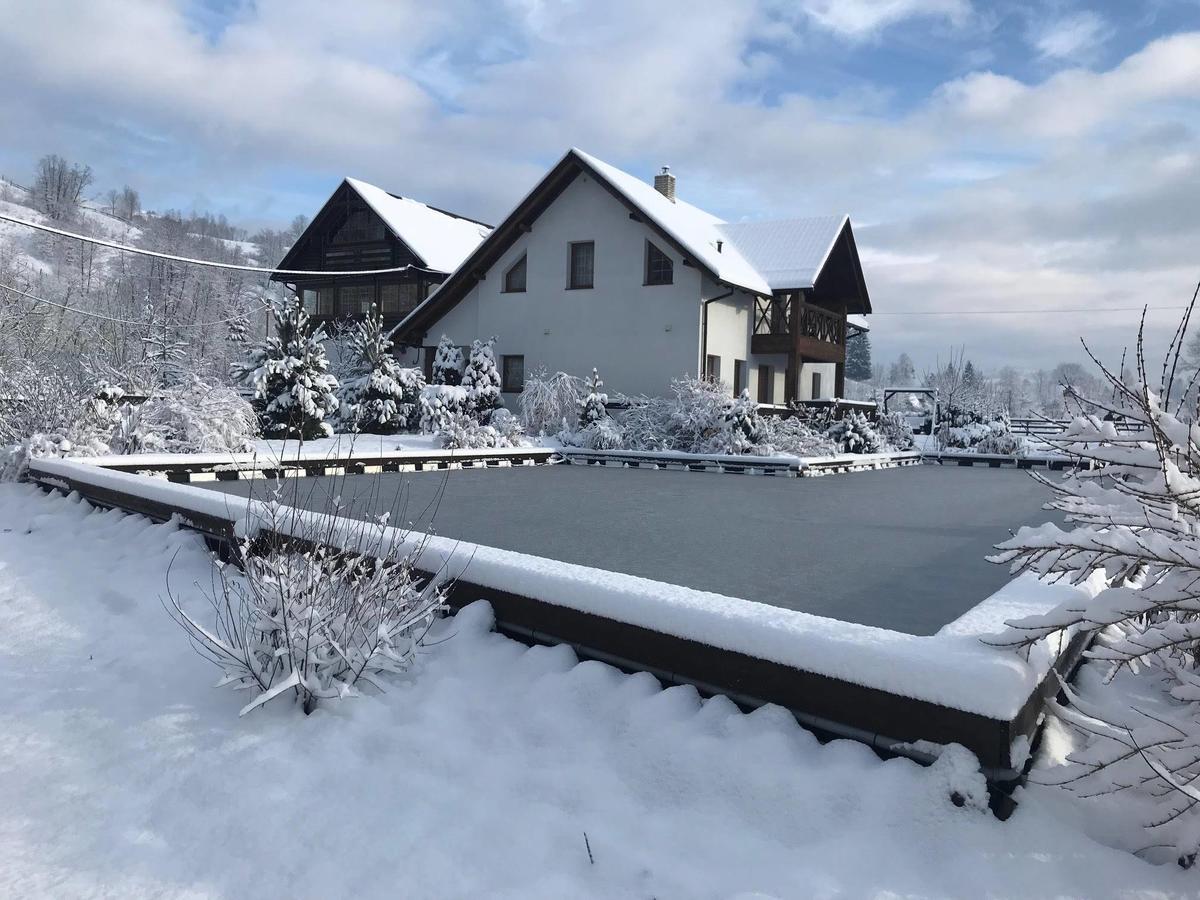 Gallery Of Mountains Holiday Home Yasinya Exterior photo