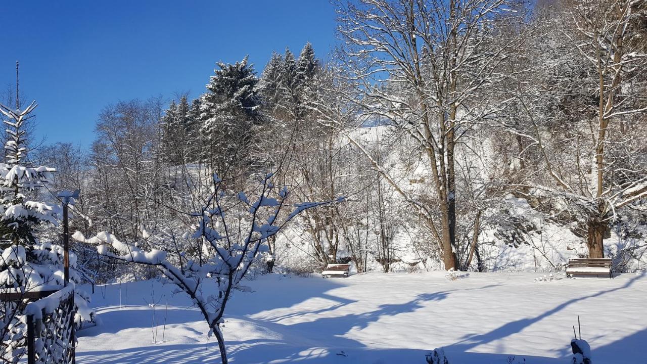Gallery Of Mountains Holiday Home Yasinya Exterior photo